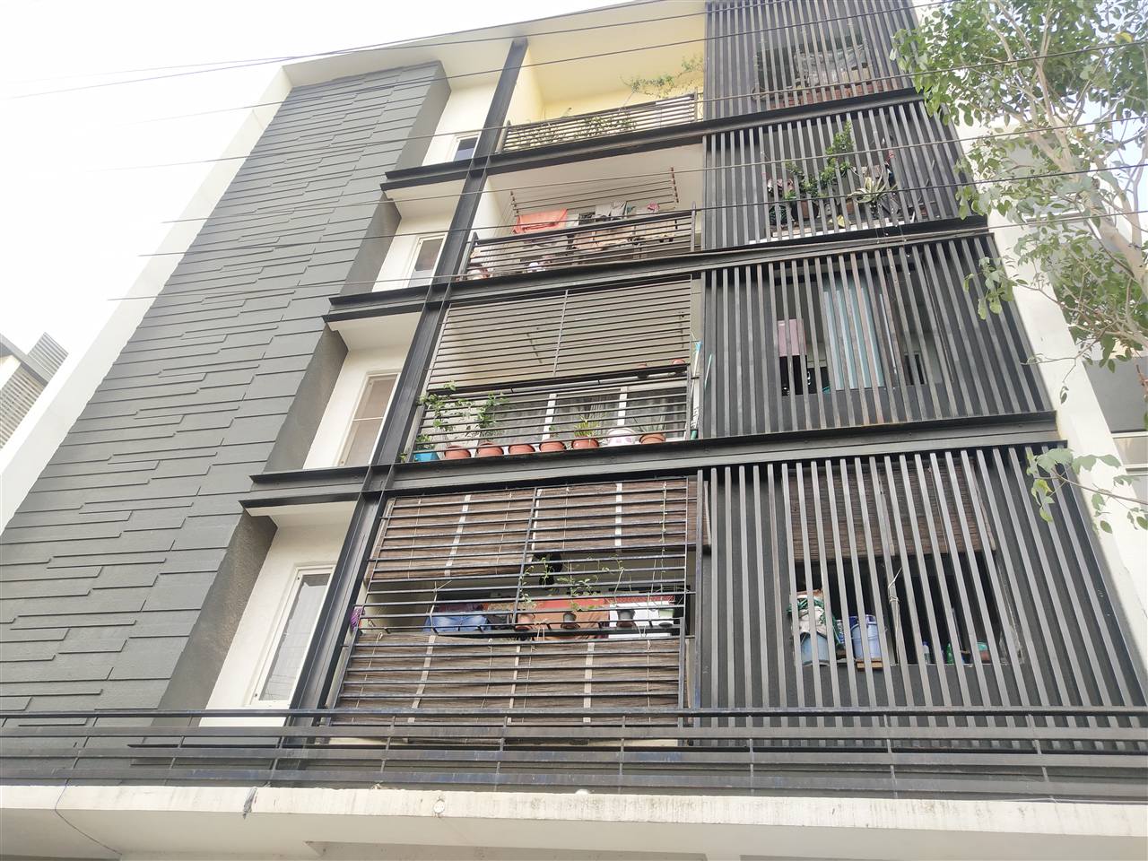 Ms Elevation Louvers